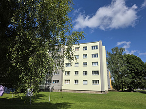 Puru tee 22, Jõhvi, Jõhvi vald, Ida-Virumaa (16 foto / 19)