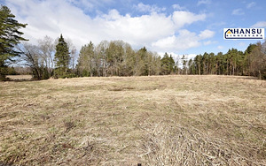 Intsu, Roobaka, Saaremaa vald, Saaremaa (11 foto / 22)
