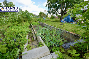 Harju maakond, Saue vald, Kaasiku küla, Kännu tee 18 (35 foto / 46)