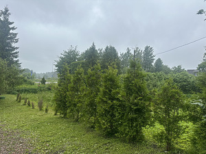 Peetri plats 5, Vanalinna, Narva, Ida-Virumaa (2 foto / 5)