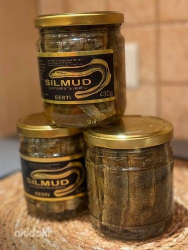 Silmud