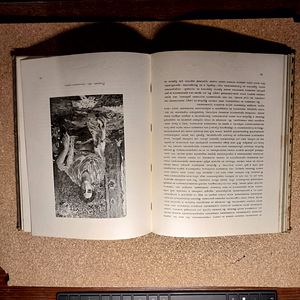 Haruldane antiikne kunstiraamat "Vrubel" (1911) (3 foto / 5)