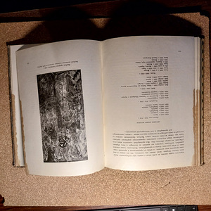 Haruldane antiikne kunstiraamat "Vrubel" (1911) (5 foto / 5)