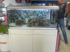 Akvaariumi komplekt 360L (4 foto / 6)