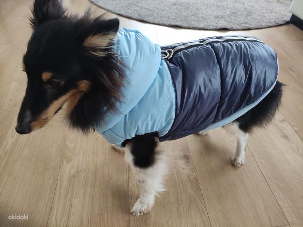 Куртка для собаки (фото #1)