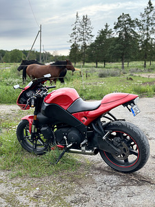 Müüa heas korras BUELL XB12R FIREBOLT (4 foto / 4)