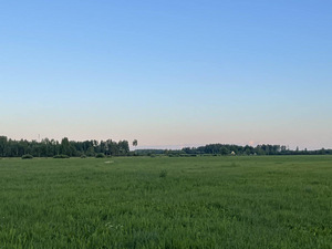 Maakodu aastaringseks elamiseks (17 foto / 36)