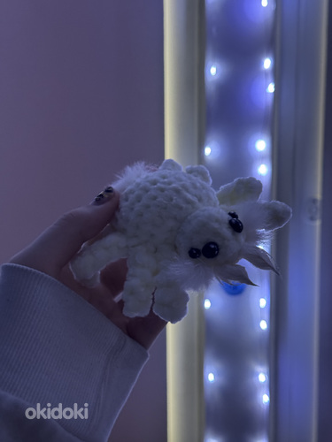 Ämblik