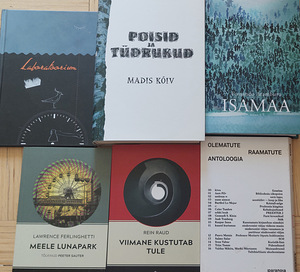Valik uueväärses korras raamatuid (3 foto / 10)