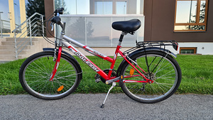 Детский велосипед Raleigh Everest 24" (2 фото из 4)