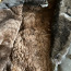 Naturaalsest karusnahast soe meeste lambanahast mantel (foto #3)