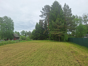 Saialille tn, Kudruküla, Narva, Ida-Virumaa (3 фото из 11)