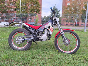 Кроссовый мотоцикл Beta Alp (1 фото из 6)