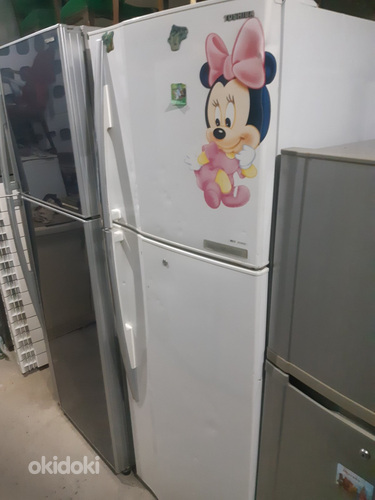 Սառնարան no frost 170/60 (7)