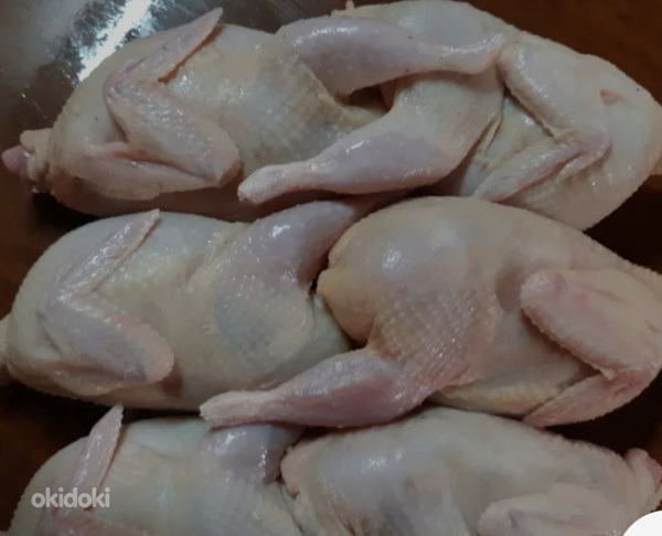 Птицы и животные