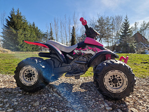 Laste elektriline ATV Peg Perego (4 foto / 4)