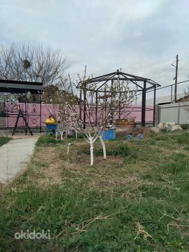 Վաճառվում է հարմարավետ, հարմարավետ, պատրաստ տուն 40 քմ մակեր (3)