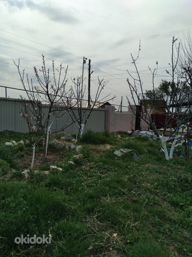 Վաճառվում է հարմարավետ, հարմարավետ, պատրաստ տուն 40 քմ մակեր (5)