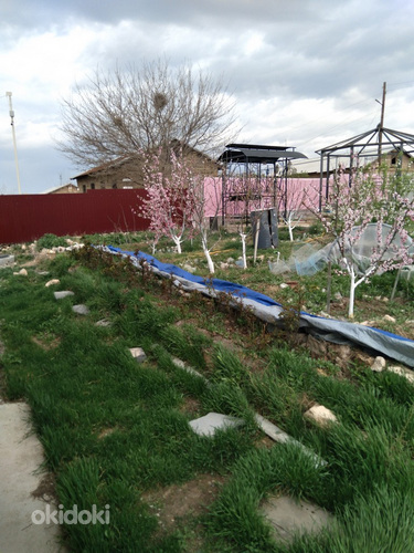 Վաճառվում է հարմարավետ, հարմարավետ, պատրաստ տուն 40 քմ մակեր (9)