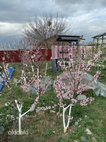 Վաճառվում է հարմարավետ, հարմարավետ, պատրաստ տուն 40 քմ մակեր (13)