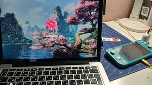 MacBook Pro 13 (2015) (5 foto / 6)