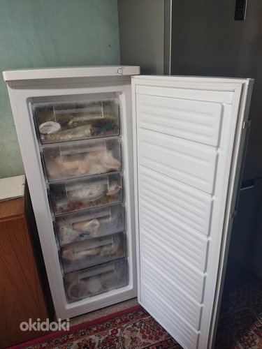 Սառնարան BERG BF-D192VW Մորոզильник (2)