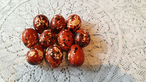 Մեղու, լորի ձու, Перепелка, Перепелиное яйцо (5 լուսանկար / 5)
