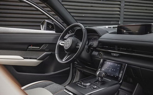 Elektriautod rendiks (7 foto / 7)