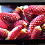 Acer AT2326 23" TV-monitor (foto #2)