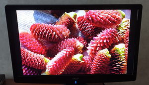 Acer AT2326 23" TV-monitor (2 foto / 7)