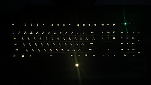 KEYBOARD (RAZER CYNOSA LITE) (4 foto / 4)