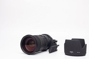 Sigma 50-500mm f/4-6.3D HSM EX APO (Canon EF) objektiiv (7 foto / 9)