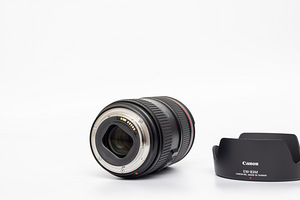 Canon EF 24-105mm f/4L IS II USM objektiiv (9 foto / 10)