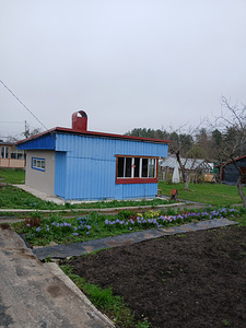 Müün suvila