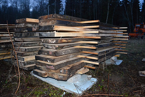 Saematerjal (saar, vaher, haab) (3 foto / 3)