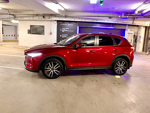 Veljed R19 rehvidega (2 foto / 4)
