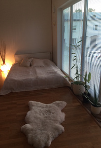 Lamp 1-2tk (4 foto / 4)