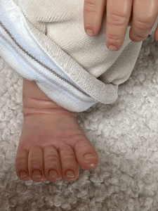 Reborn beebinukk (10 foto / 10)