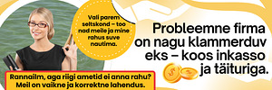 FIRMADE LIKVIDEERIMINE (2 foto / 2)