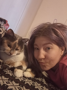 Nuori steriloitu naaras kissa (2 valokuva sivusta 3)