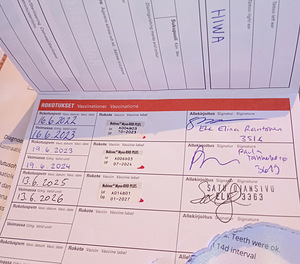 Kaks Leikattua uros kania (8 valokuva sivusta 9)