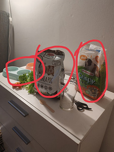 Kaks tyttö marsua (7 valokuva sivusta 10)