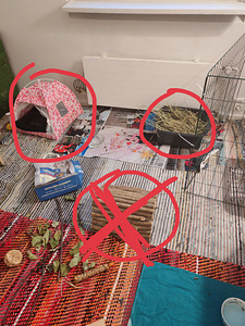 Tyttö marsu+Tarvikkeet (5 valokuva sivusta 10)