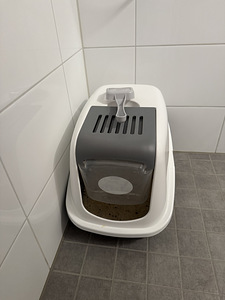 Kissa (5 valokuva sivusta 5)