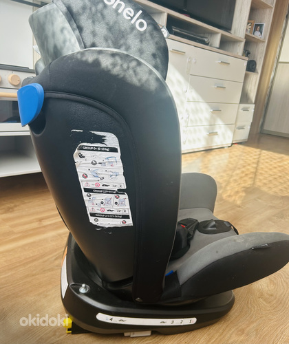 Lioneli 360°