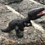 Dinosaurus (käsitsi valmistatud) (foto #2)