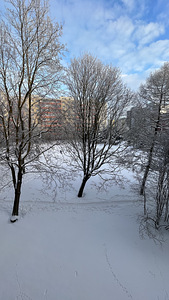 Raadiku tn 14, Lasnamäe, Tallinn, Harjumaa (2 фото из 15)
