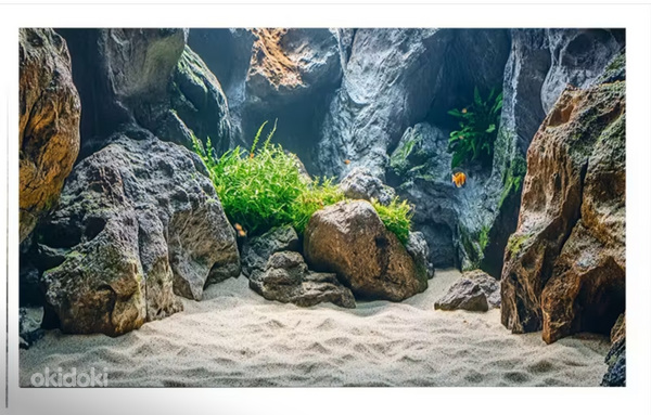 Akvariumi kleebis