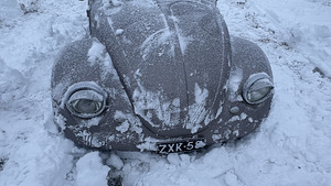 Volkswagen beetle (3 foto / 12)
