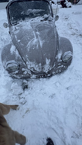 Volkswagen beetle (7 foto / 12)